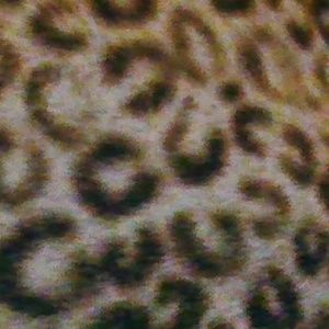 Meet your Posher, Wallisha